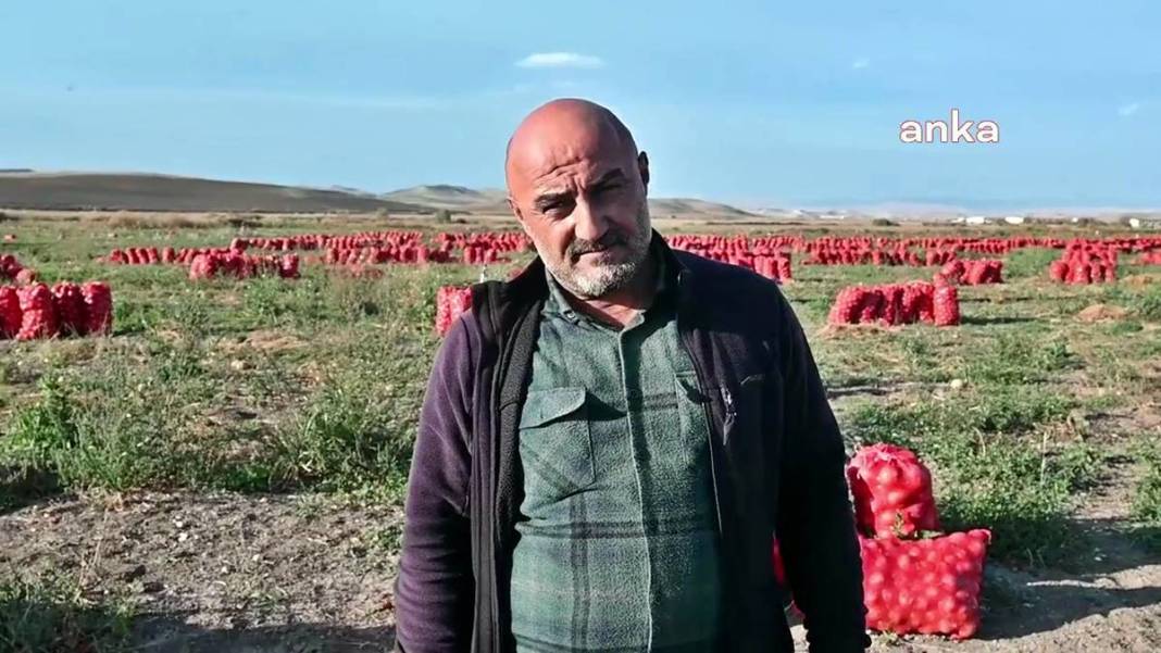 Üreticiye soğan şoku: Tonlarcası depolara kaldırılıyor! Bu kez de fazla üretim başlarına dert oldu 5